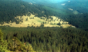 Castrul roman de la Sugag